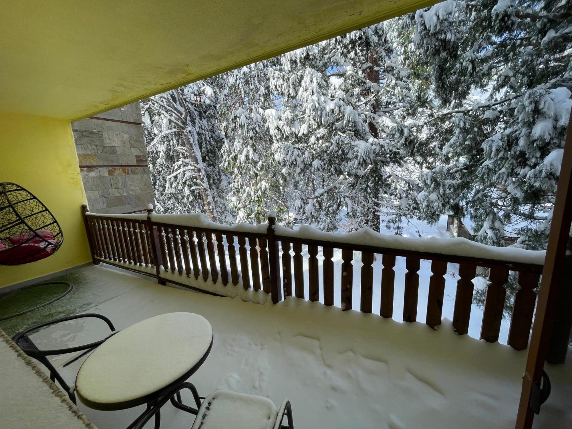 Luxury Apartament In "Sequoia" 2 ボロヴェッツ エクステリア 写真