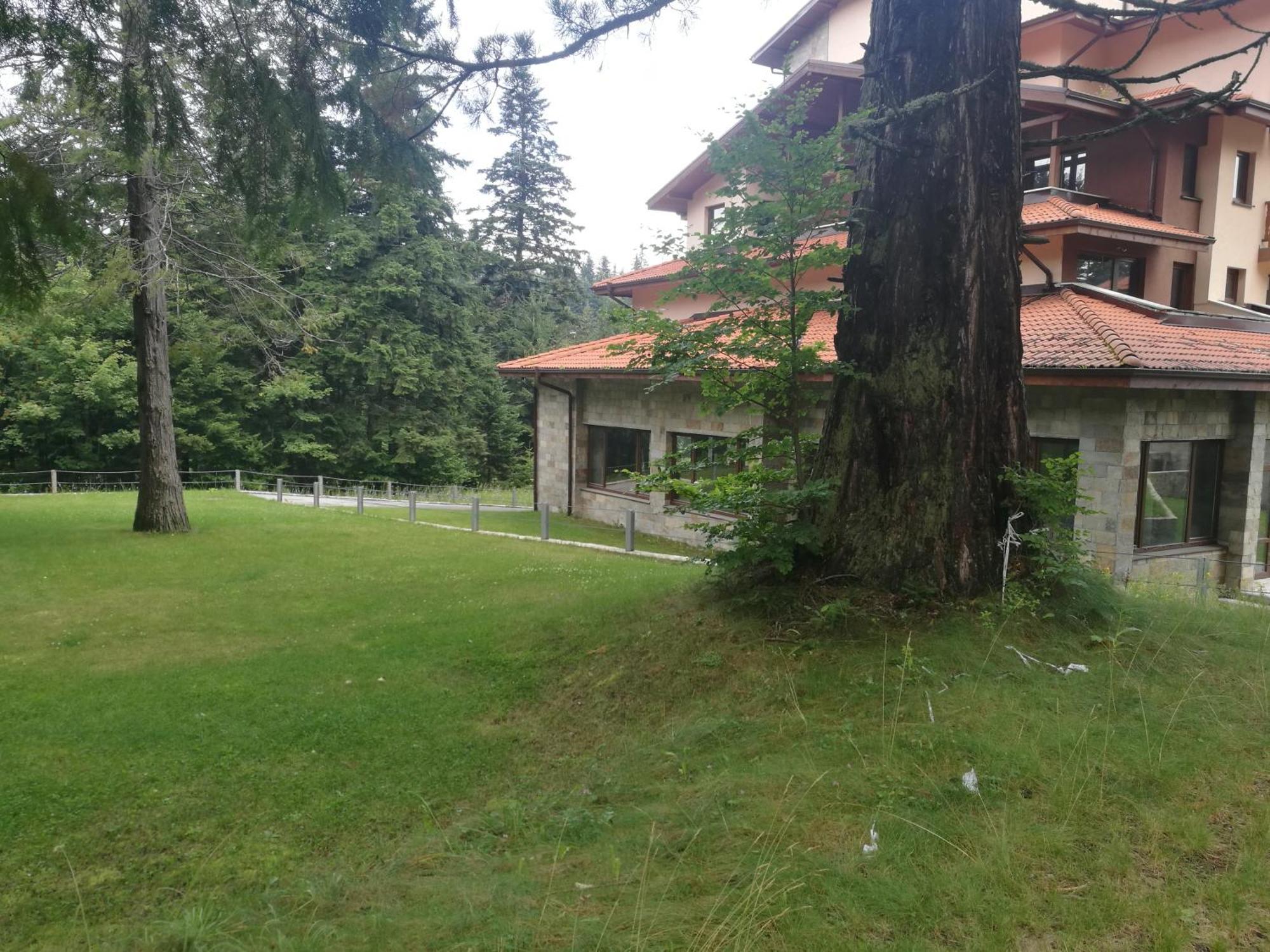 Luxury Apartament In "Sequoia" 2 ボロヴェッツ エクステリア 写真